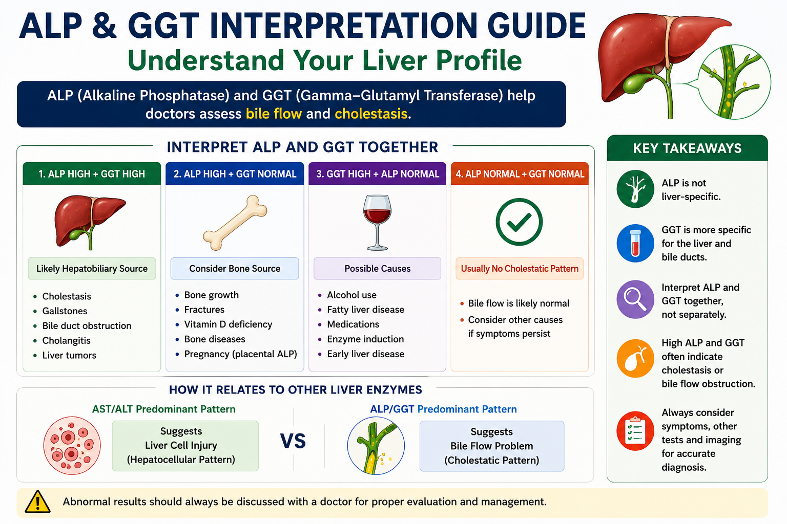ALP and GGT interpretation guide for cholestasis and bile flow problems
