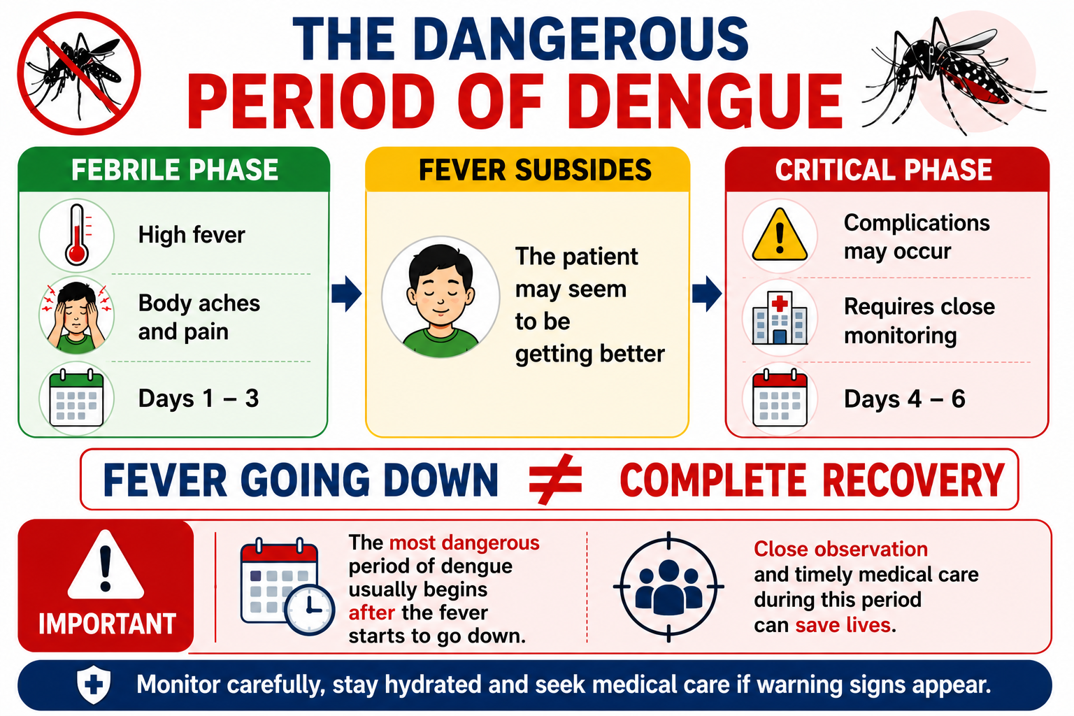 The dangerous period of dengue — fever settling marks the start of the critical phase, not recovery