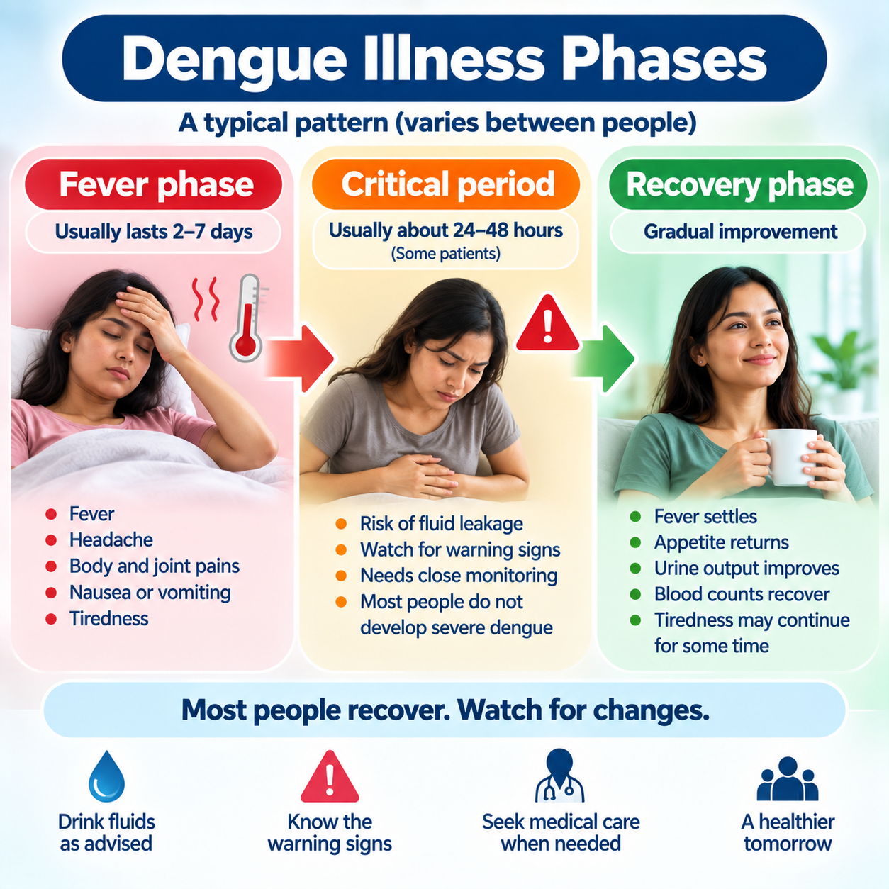 The febrile, possible critical and recovery phases of dengue illness