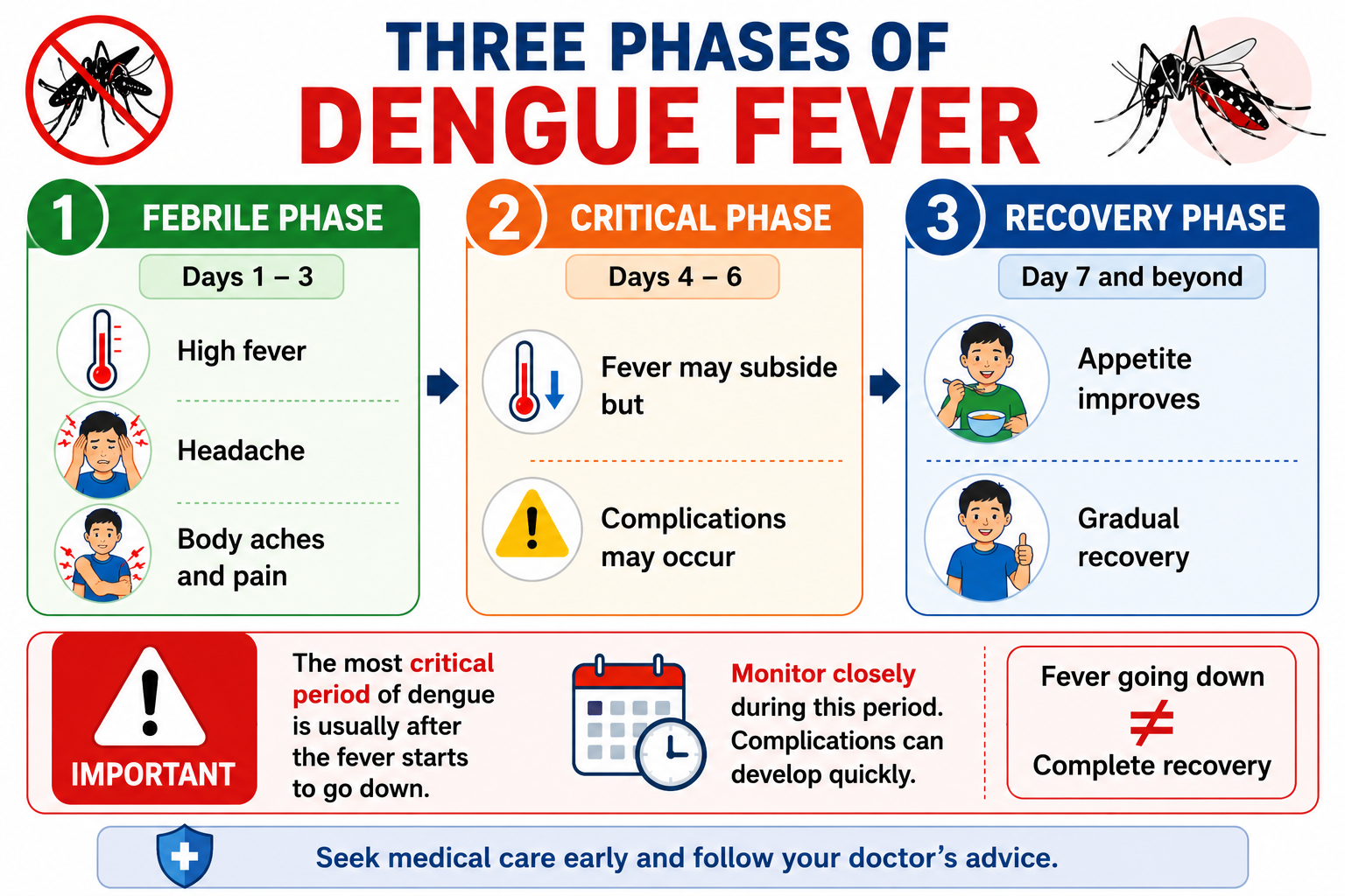 Three phases of dengue fever — febrile phase days 1-3, critical phase days 4-6, recovery phase day 7 onwards