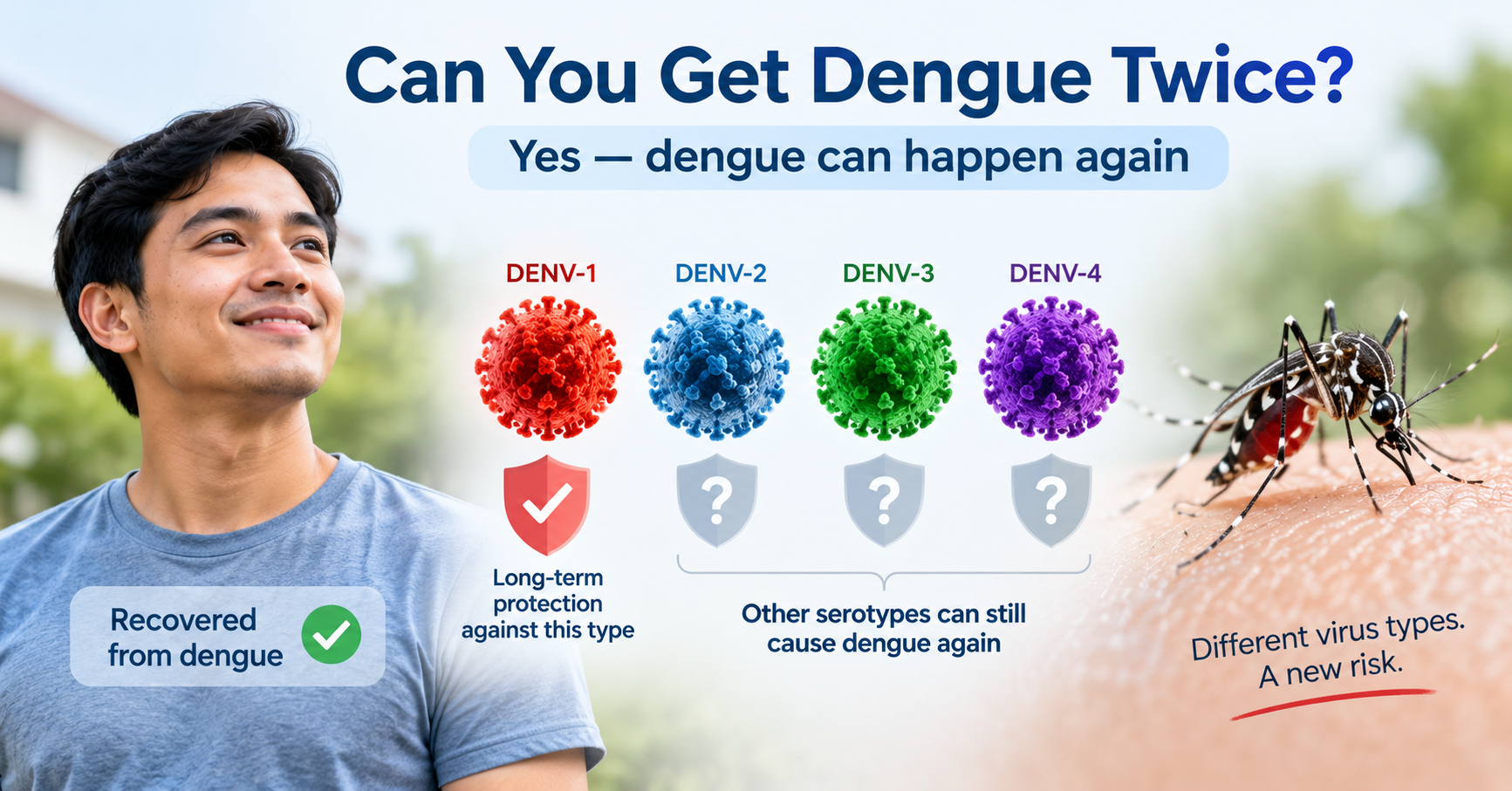 Illustration explaining that dengue can occur more than once because there are different dengue virus serotypes.