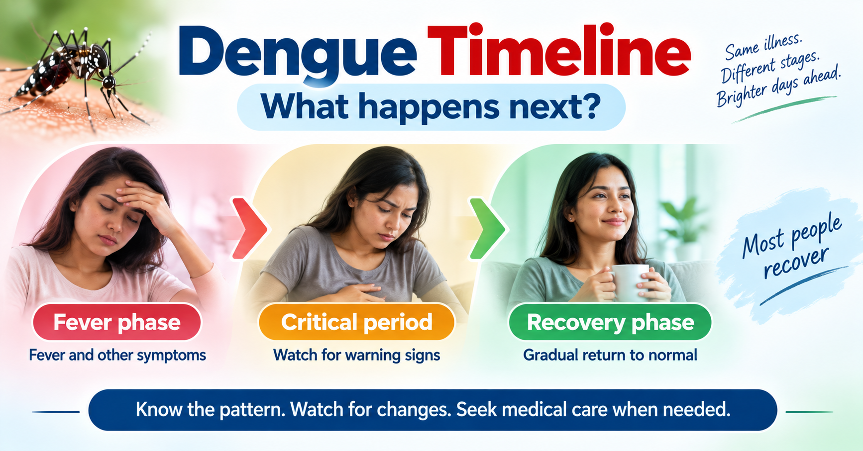 Illustration showing the usual progression of dengue from fever toward recovery