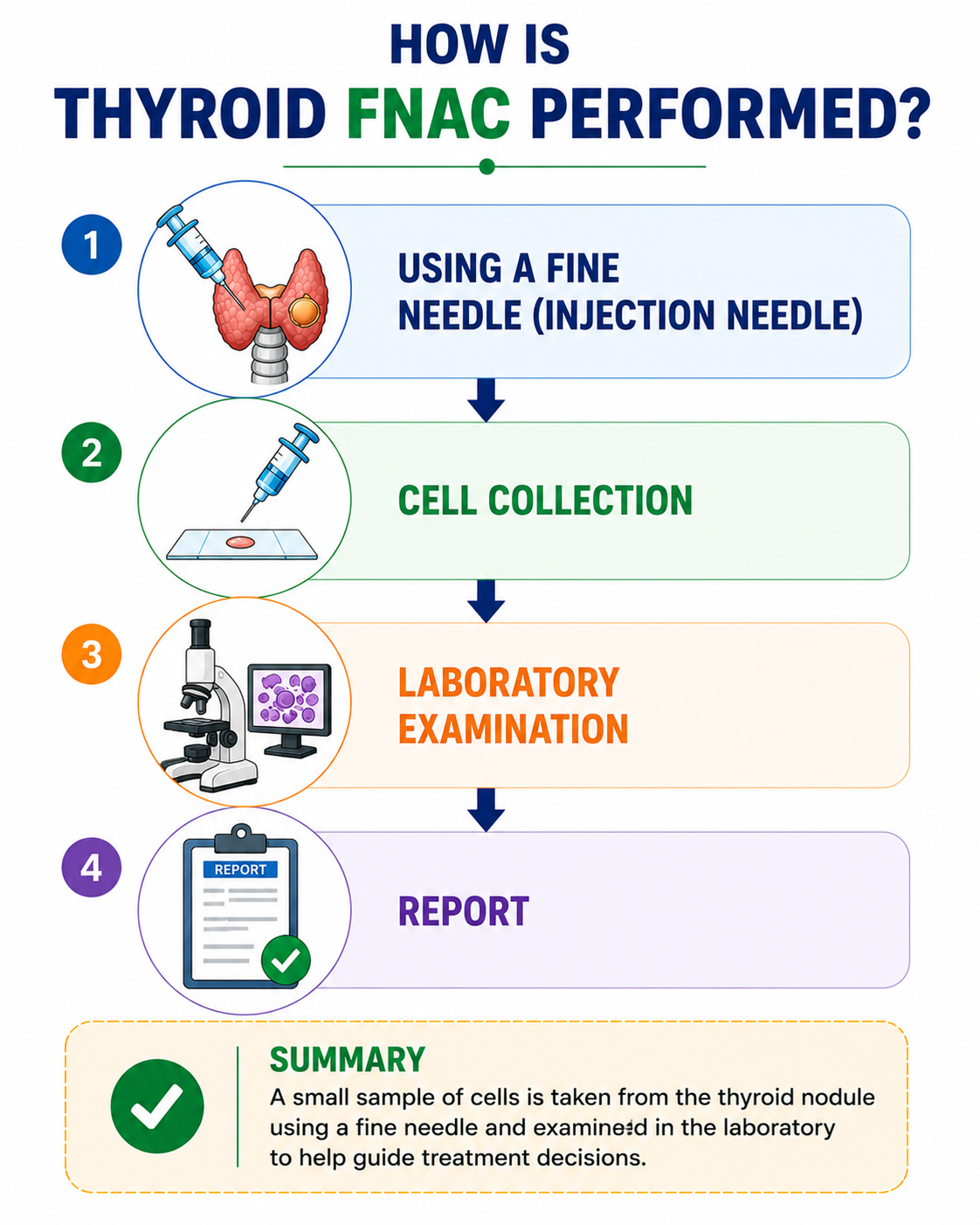 How Thyroid FNAC Is Performed — Needle to Cell Collection to Laboratory to Report