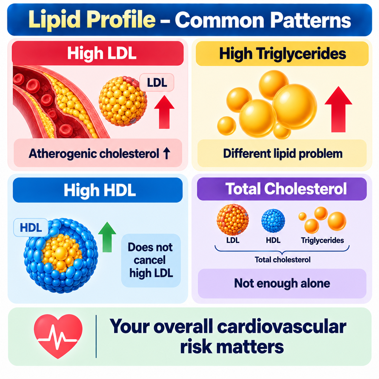 Why the whole lipid profile matters: high LDL, high triglycerides, high HDL and total cholesterol interpreted together with overall cardiovascular risk