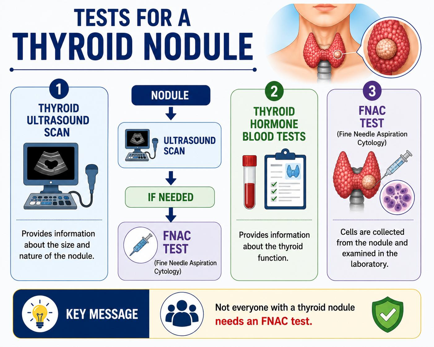 Thyroid Nodule Tests — Ultrasound, Blood Tests, FNAC, Treatment Plan