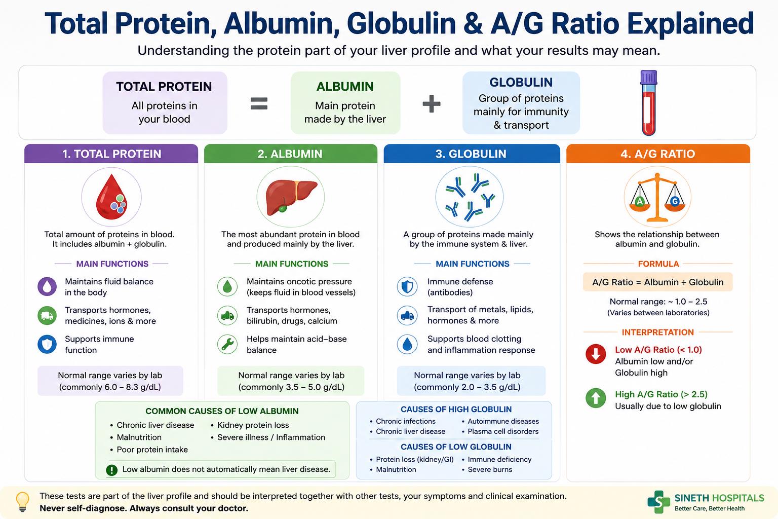 total protein albumin globulin and albumin globulin ratio explained